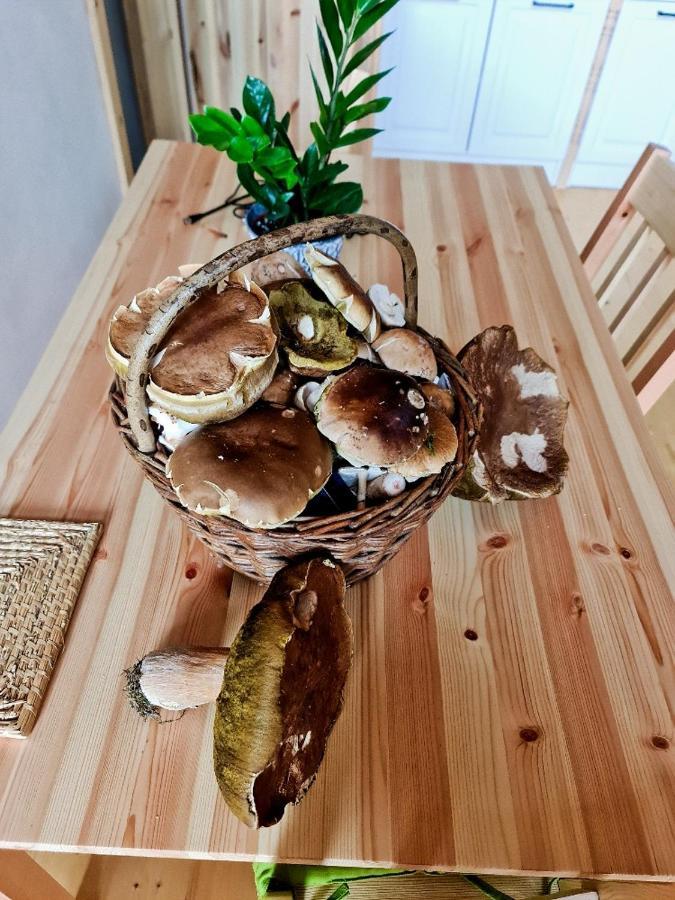 Chata Zorka Opařany 外观 照片
